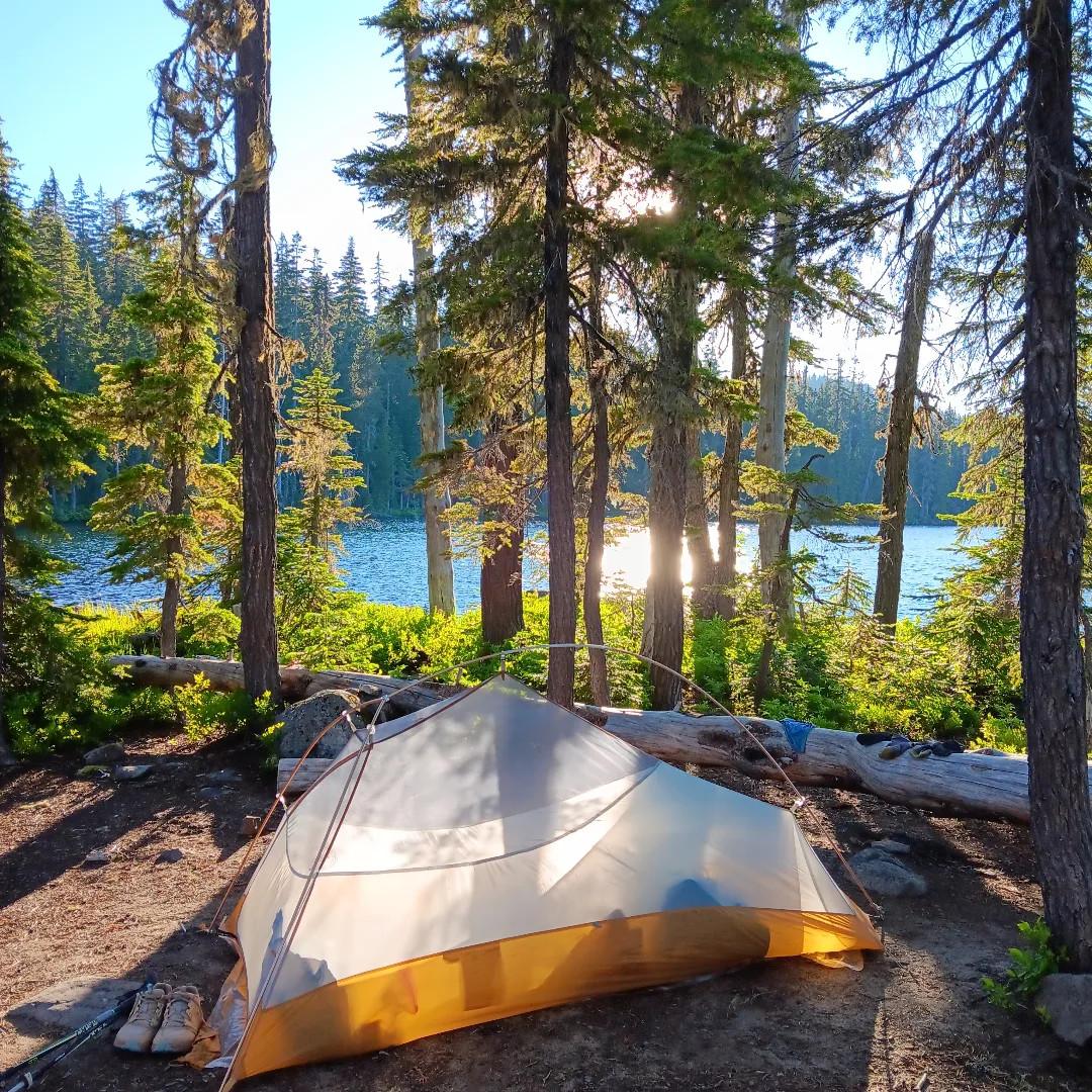 Cozy solo home