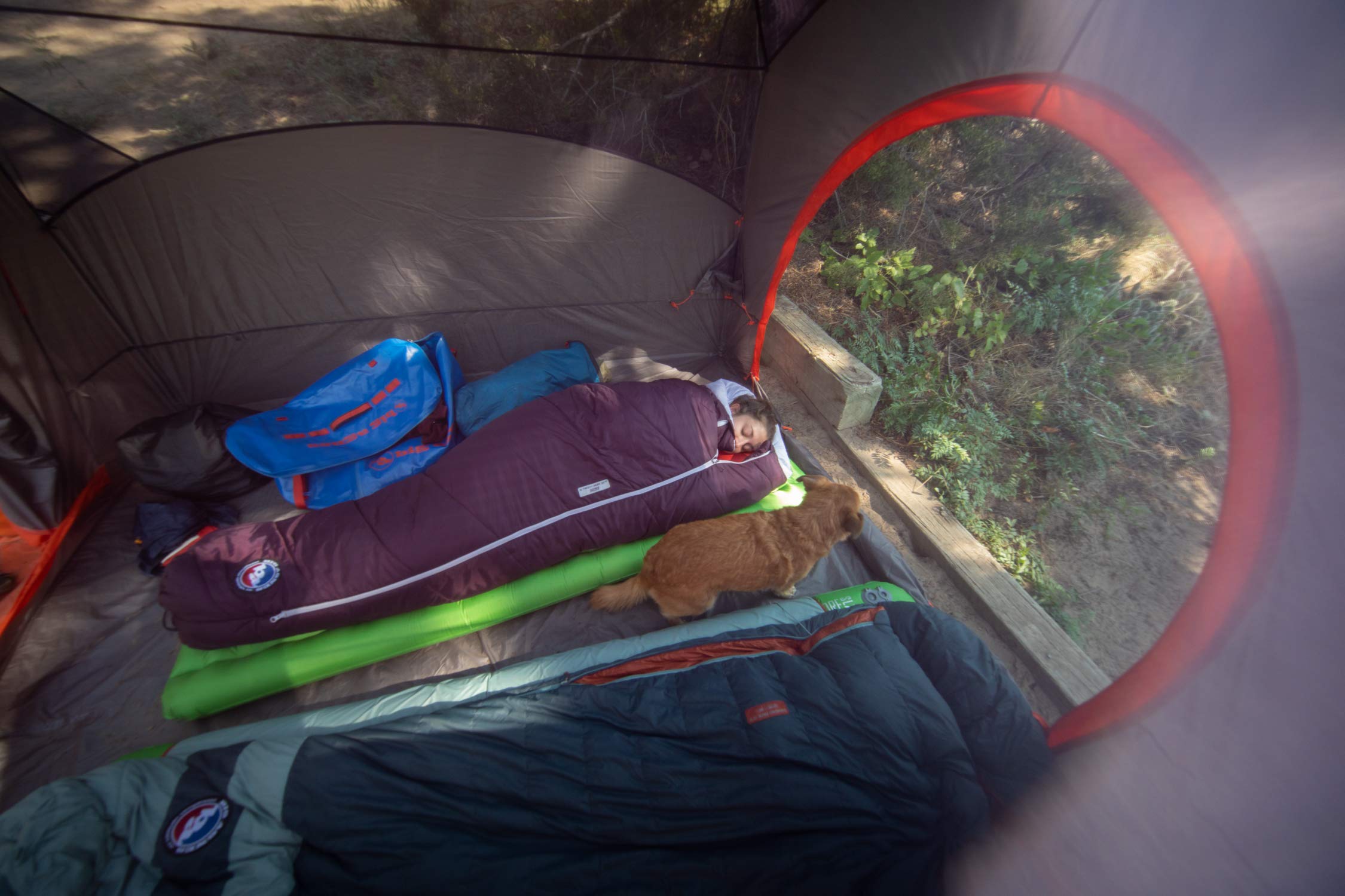 big-agnes-women-s-sidewinder-camp-fireline-eco-fill-sleeping-bag-side-sleeper-ca image 5