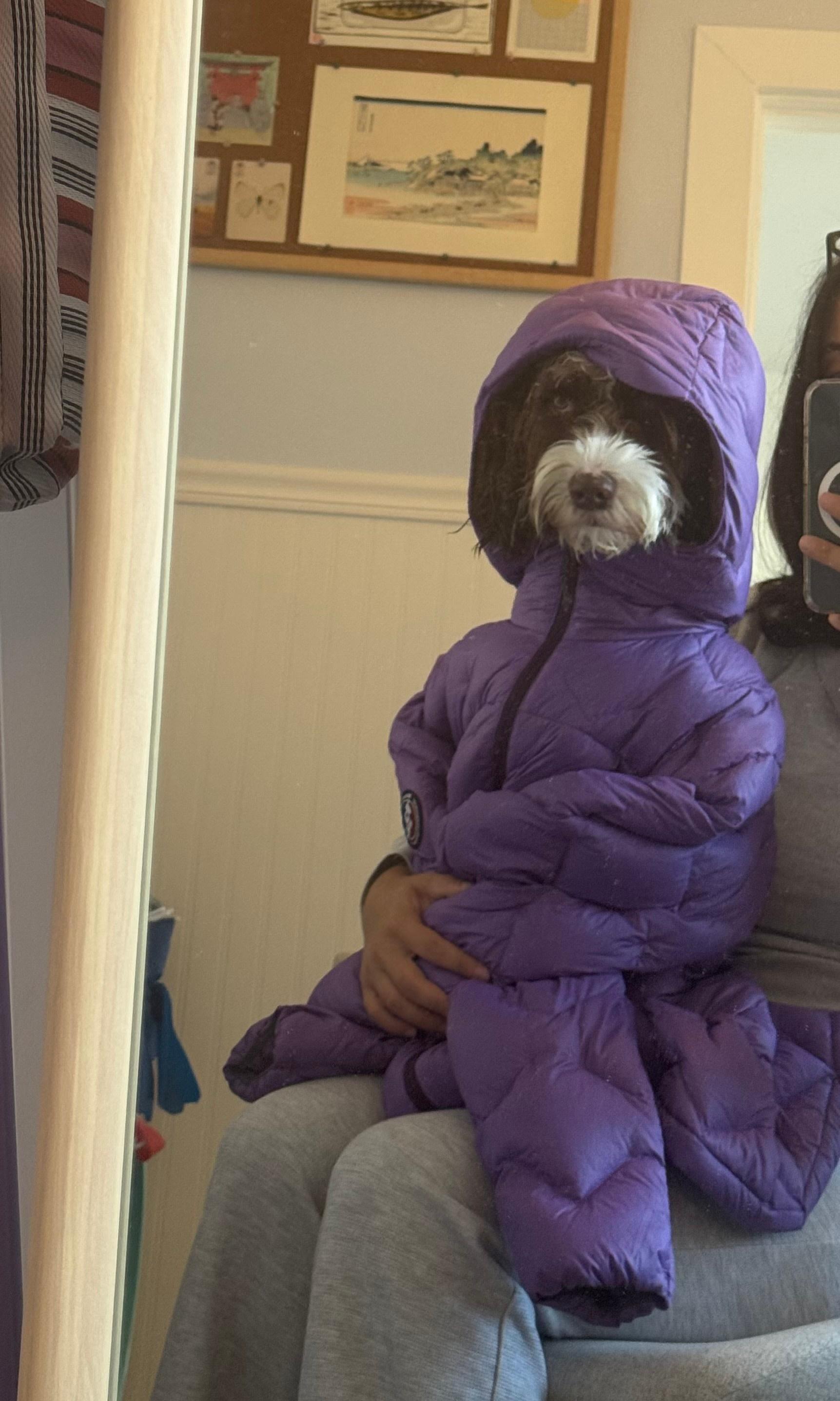 Beautiful, warm, packable