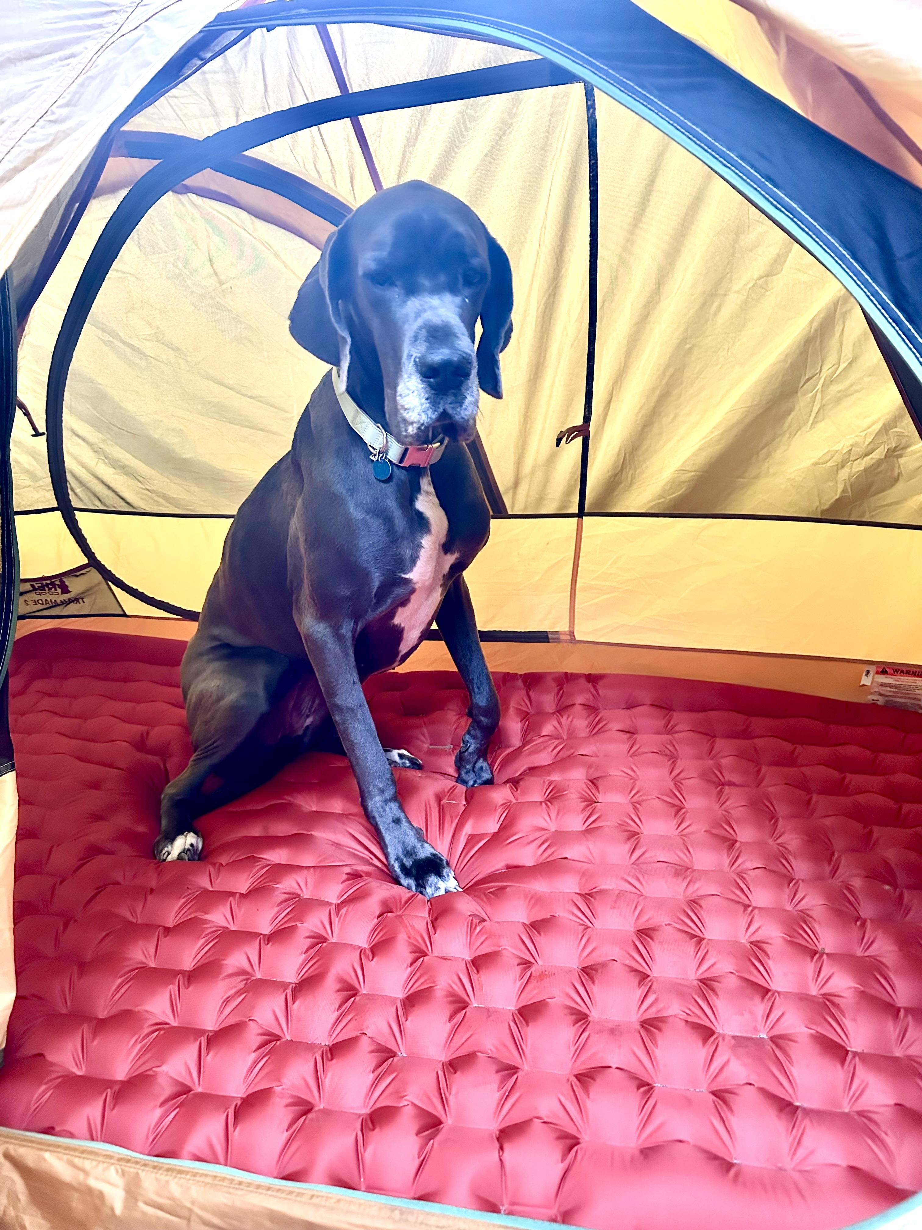 Turns our tent into a bedroom