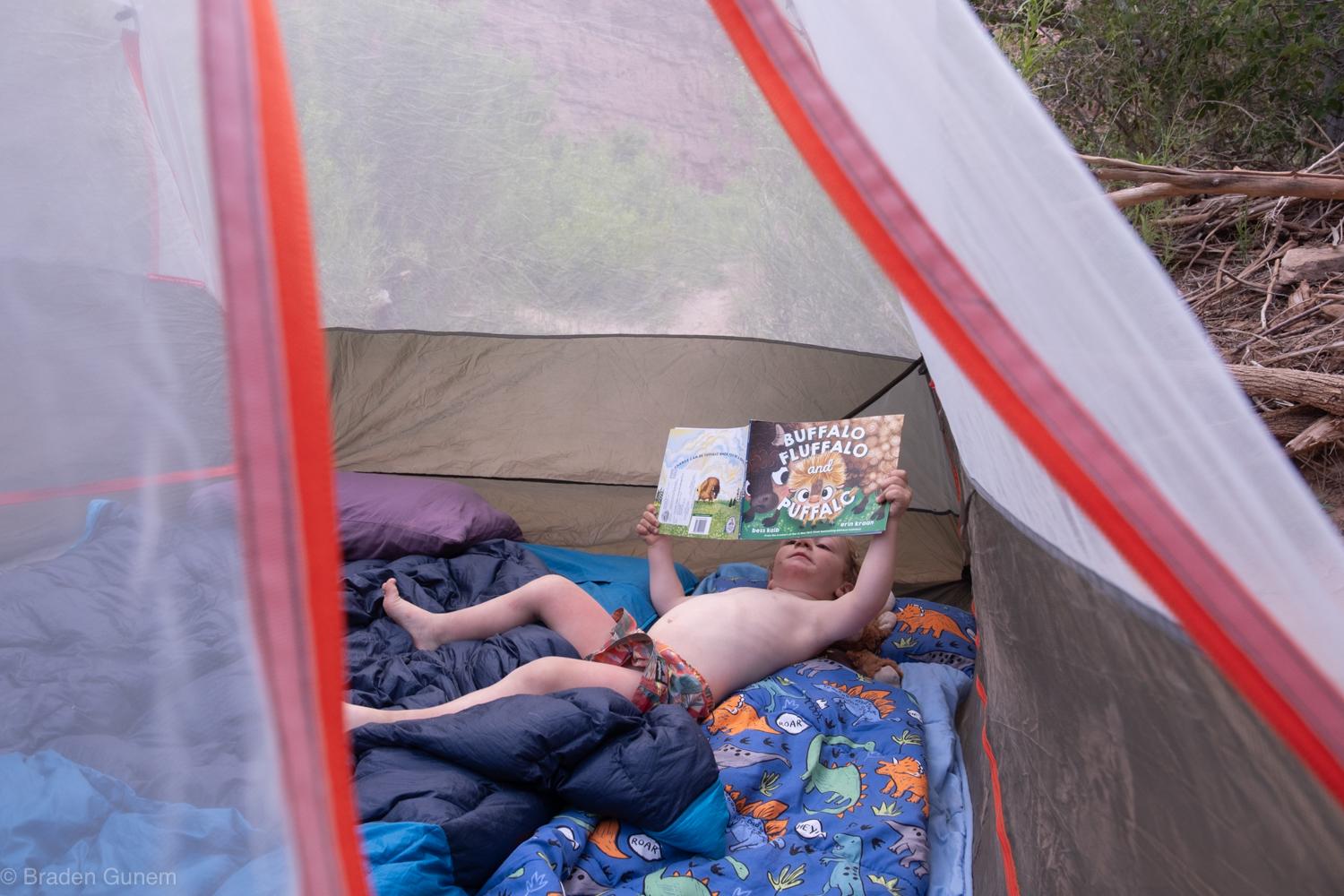 Best tent I've owned in 30 years